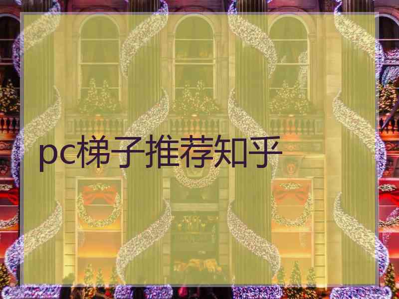 pc梯子推荐知乎