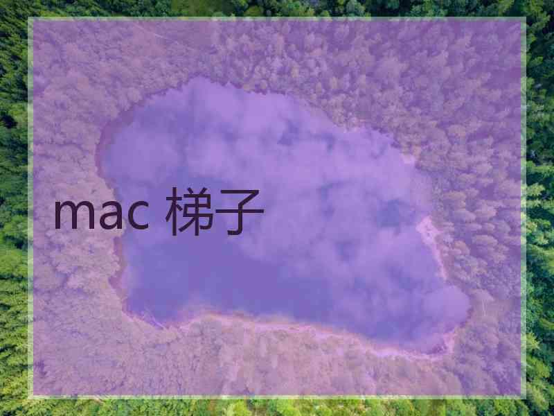 mac 梯子