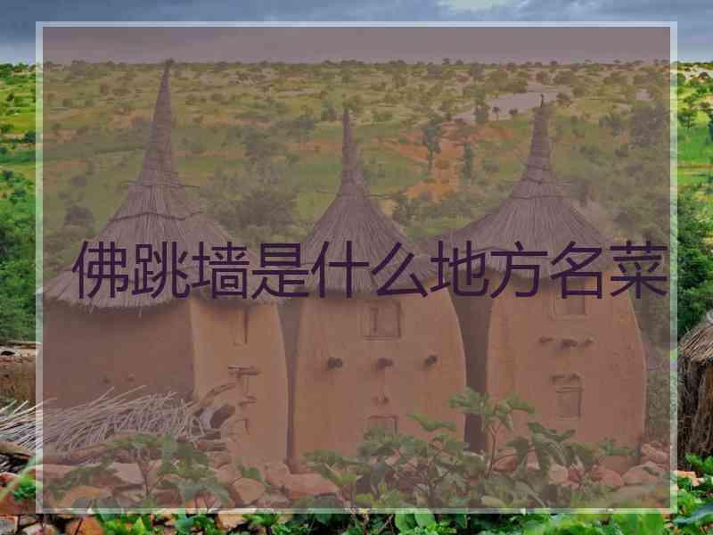 佛跳墙是什么地方名菜