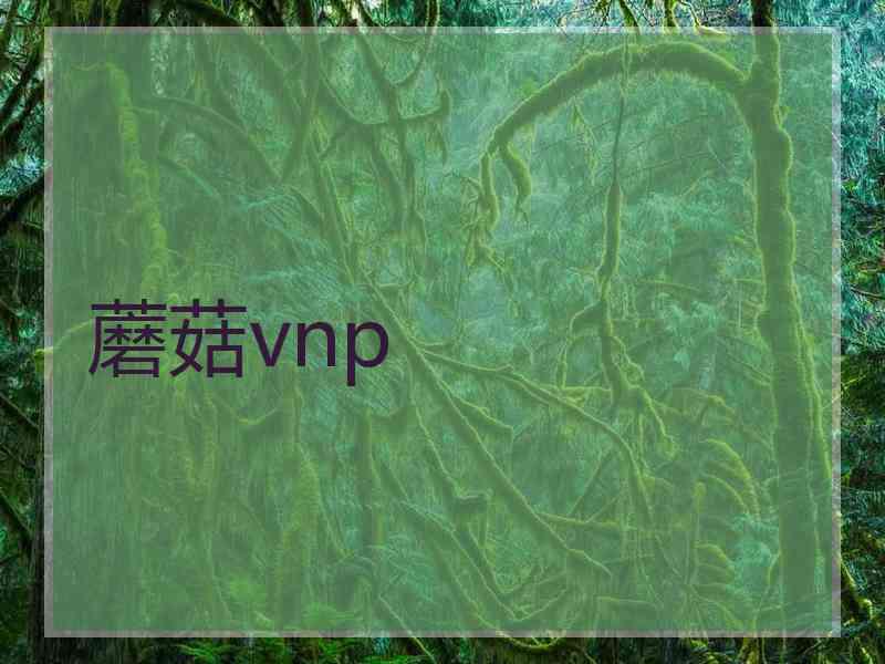 蘑菇vnp
