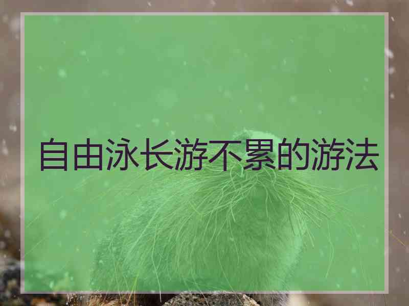 自由泳长游不累的游法