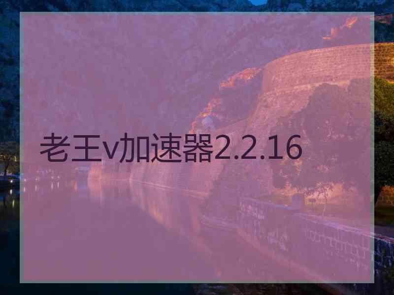 老王v加速器2.2.16