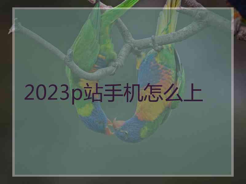 2023p站手机怎么上