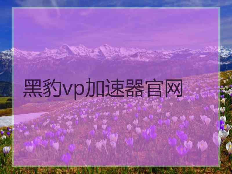 黑豹vp加速器官网