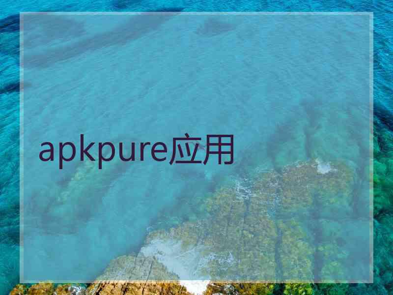 apkpure应用