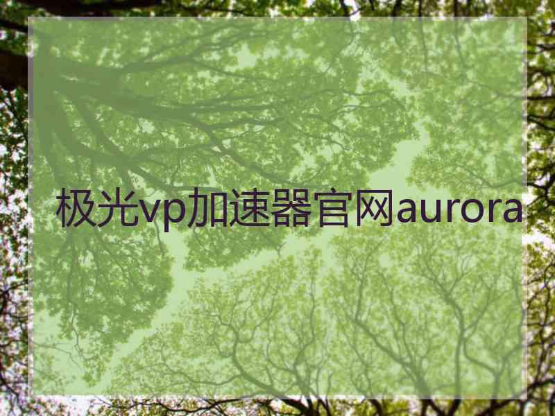 极光vp加速器官网aurora