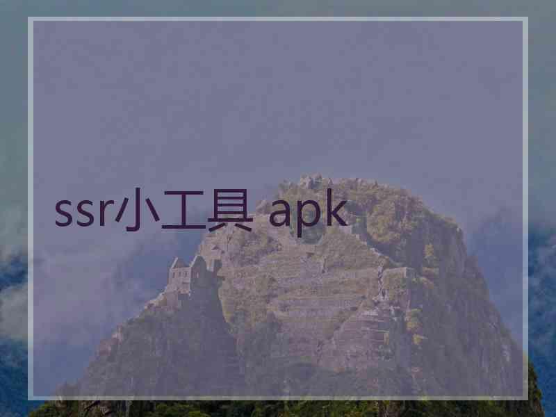 ssr小工具 apk
