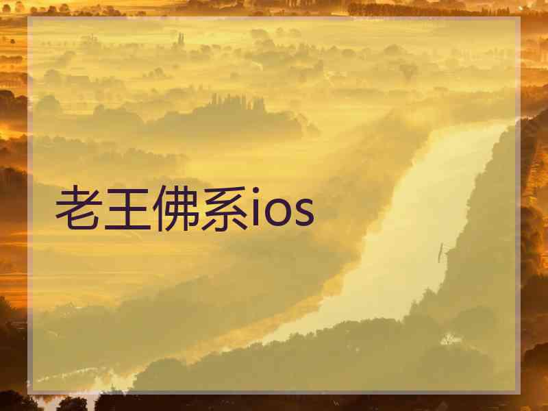 老王佛系ios