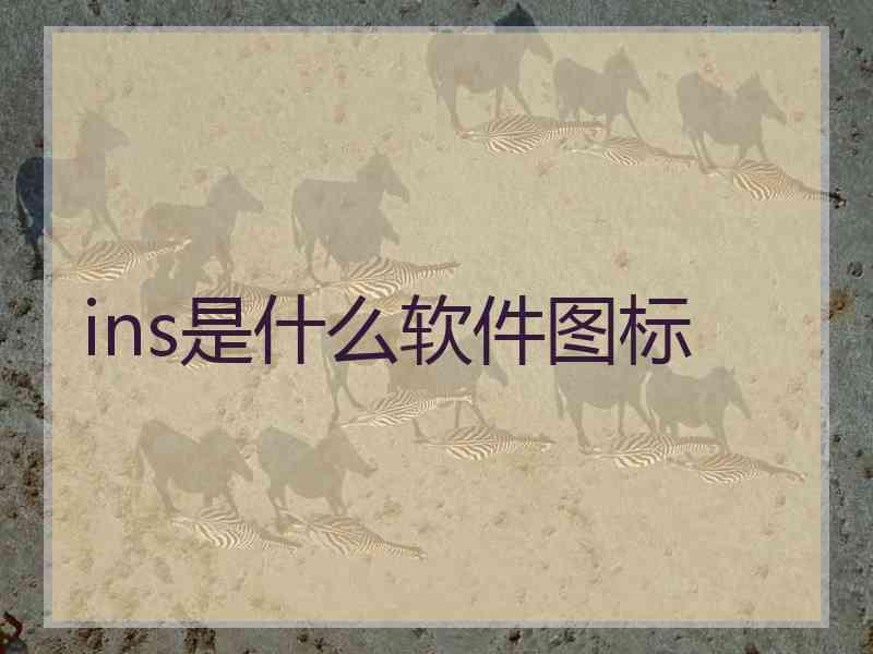 ins是什么软件图标