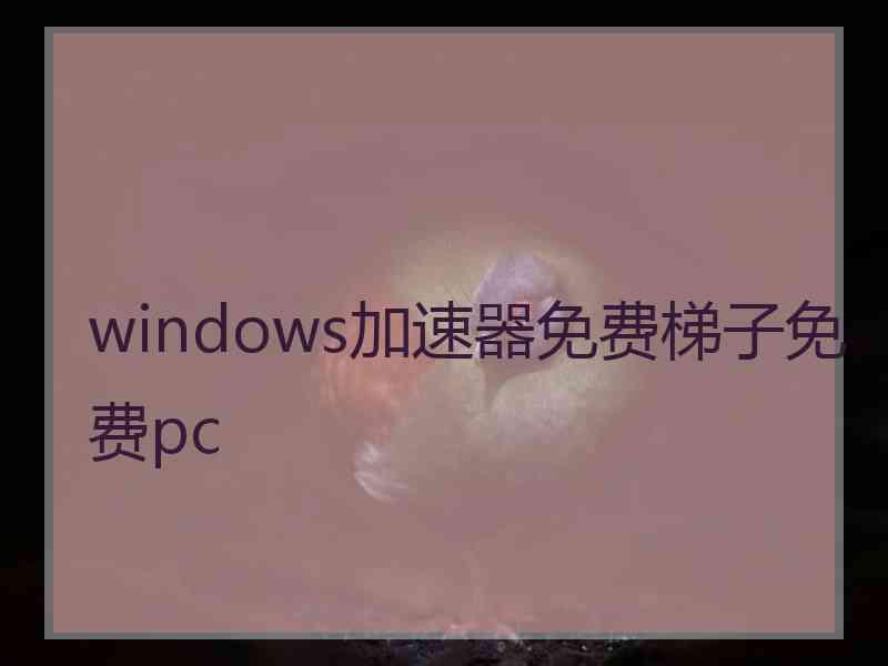 windows加速器免费梯子免费pc