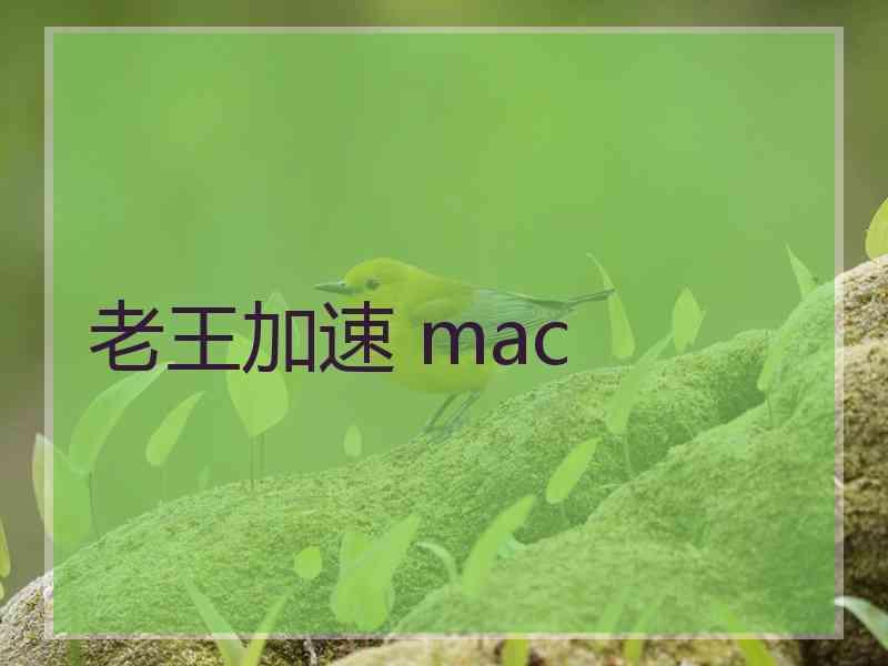 老王加速 mac