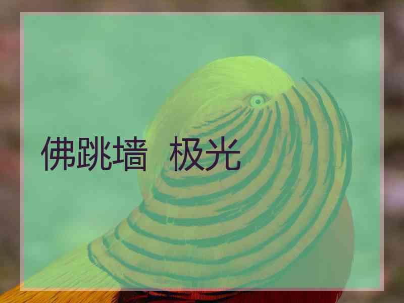 佛跳墙  极光