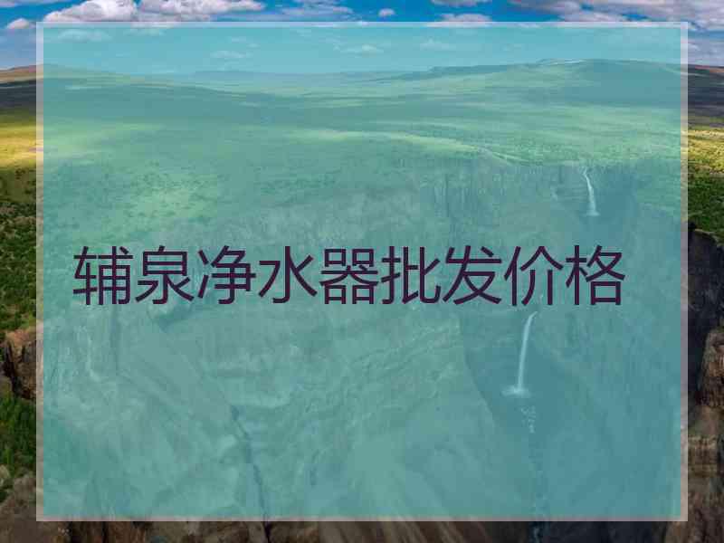 辅泉净水器批发价格