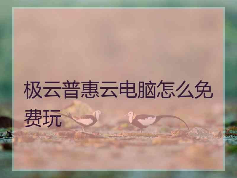 极云普惠云电脑怎么免费玩
