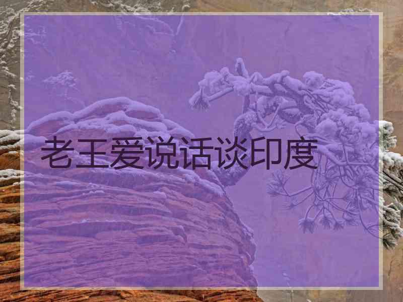 老王爱说话谈印度