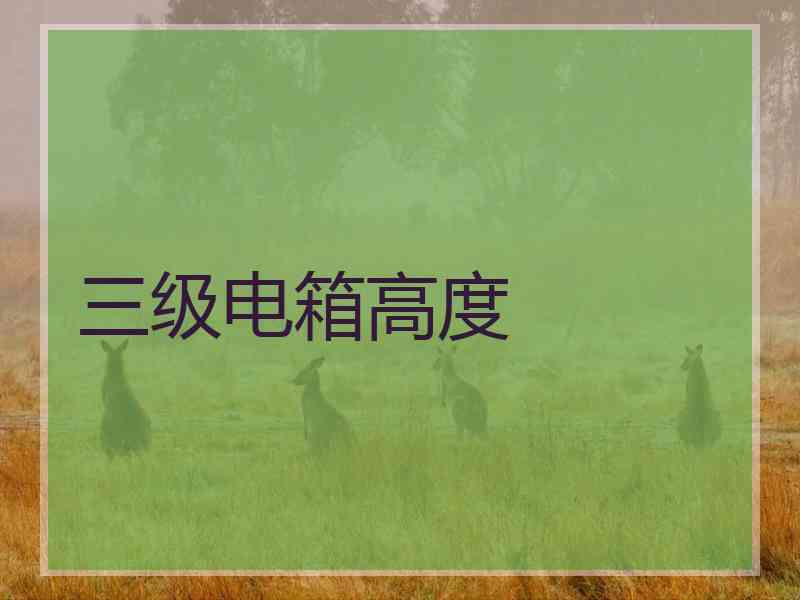 三级电箱高度