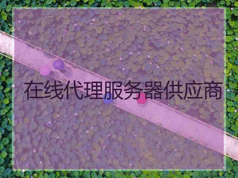在线代理服务器供应商