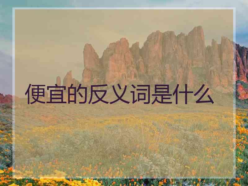 便宜的反义词是什么