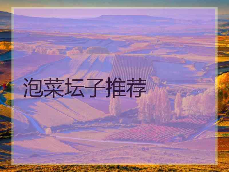 泡菜坛子推荐
