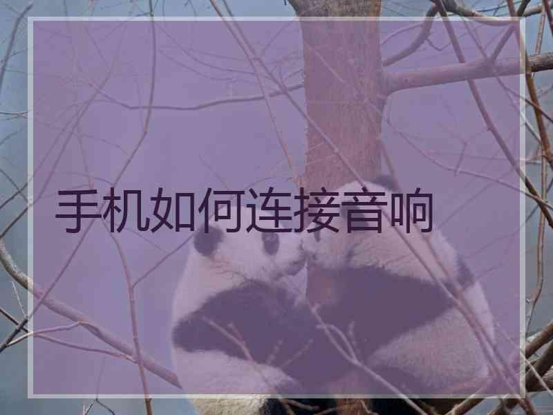 手机如何连接音响