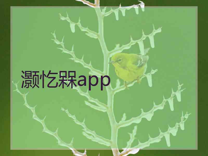 灏忔槑app