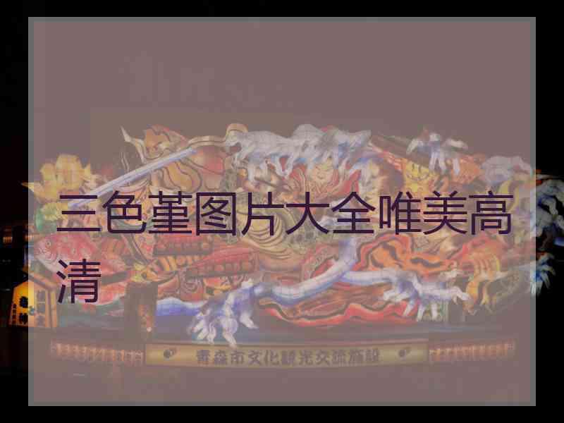 三色堇图片大全唯美高清