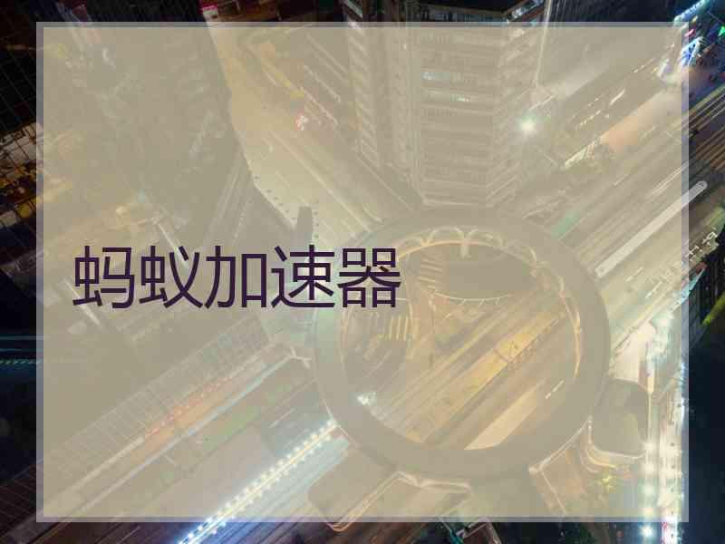 蚂蚁加速器