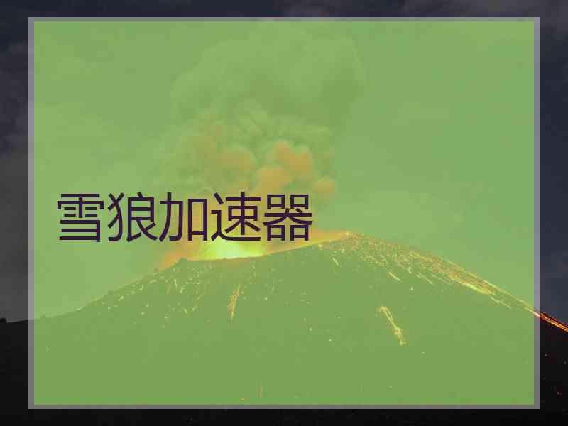 雪狼加速器