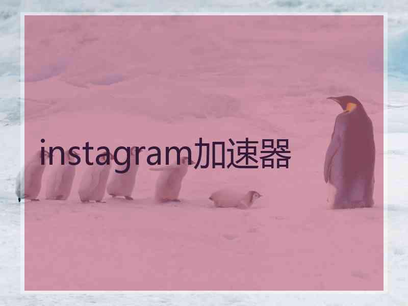 instagram加速器