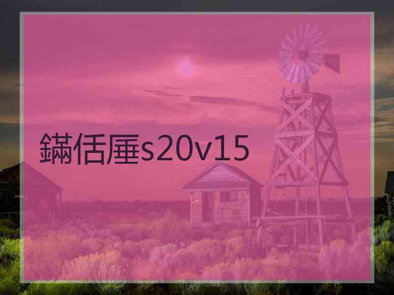 鏋佸厜s20v15