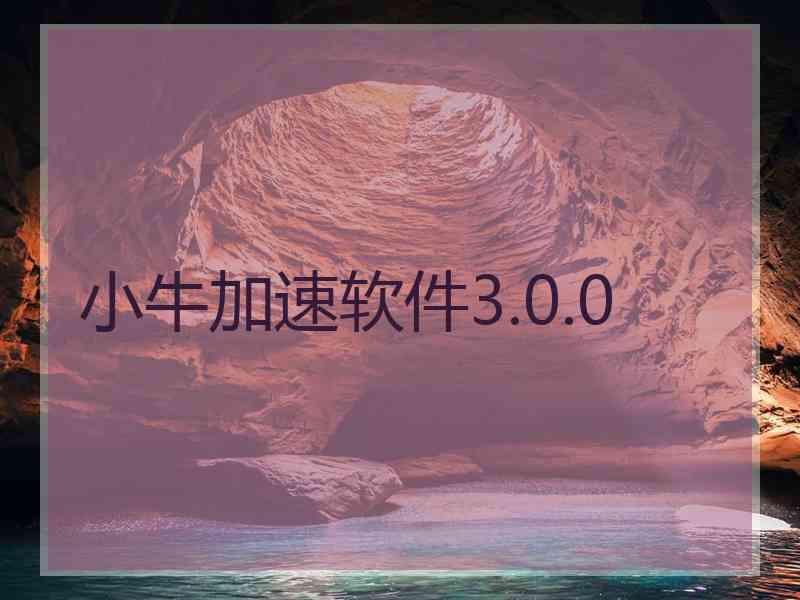 小牛加速软件3.0.0