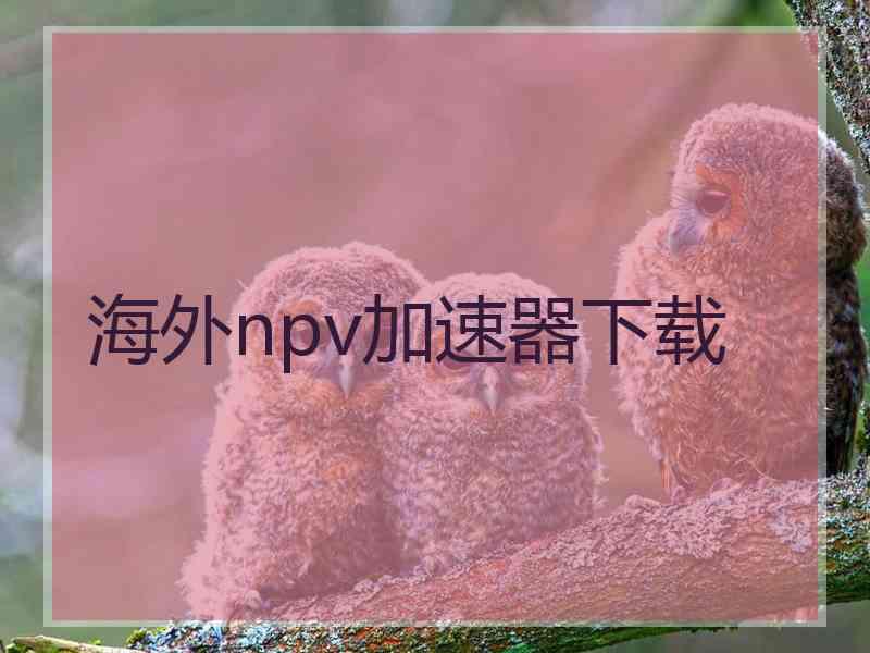 海外npv加速器下载