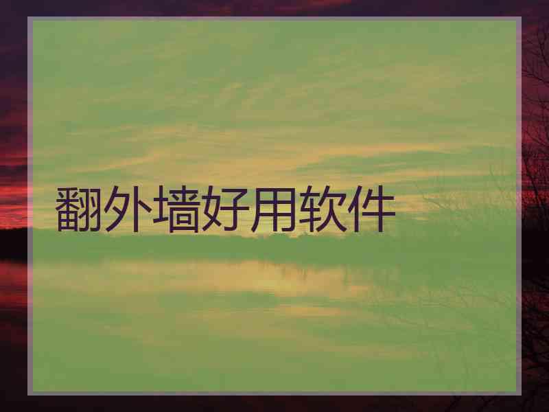 翻外墙好用软件