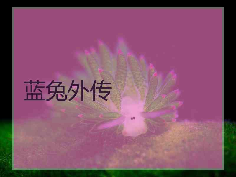 蓝兔外传