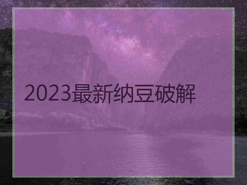 2023最新纳豆破解