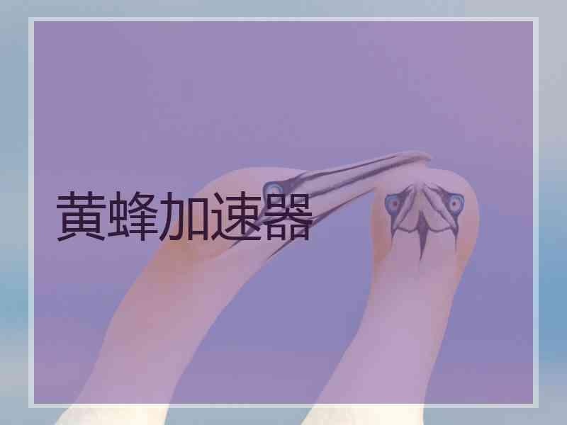 黄蜂加速器