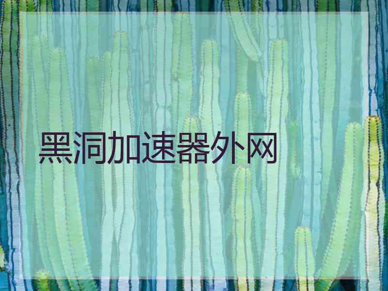 黑洞加速器外网