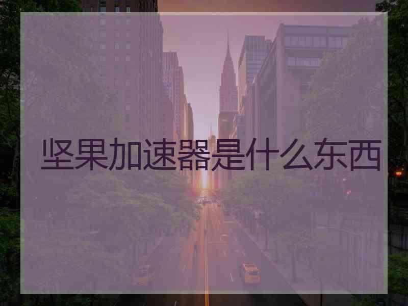 坚果加速器是什么东西