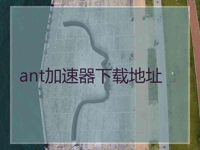 ant加速器下载地址