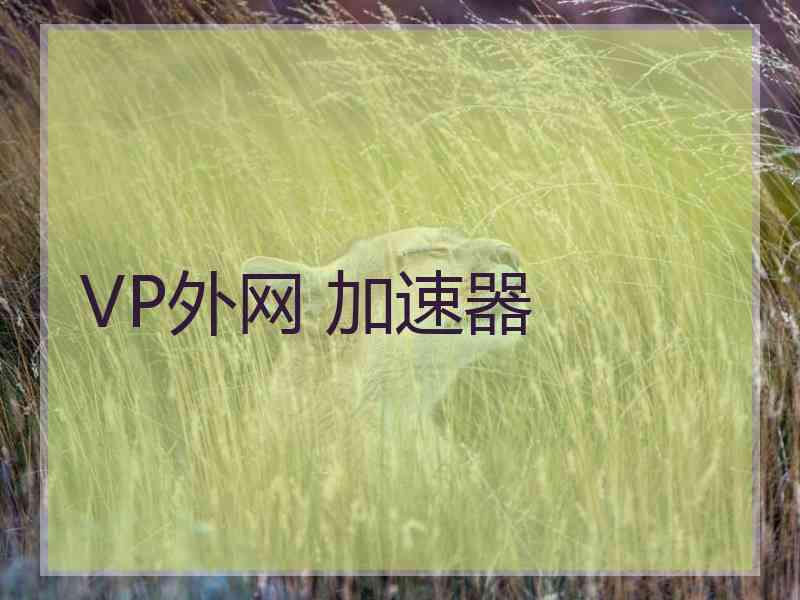 VP外网 加速器