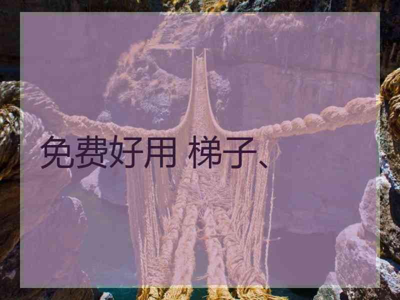免费好用 梯子、