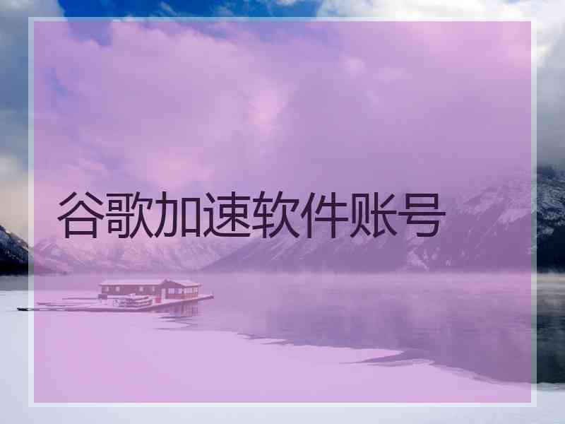 谷歌加速软件账号