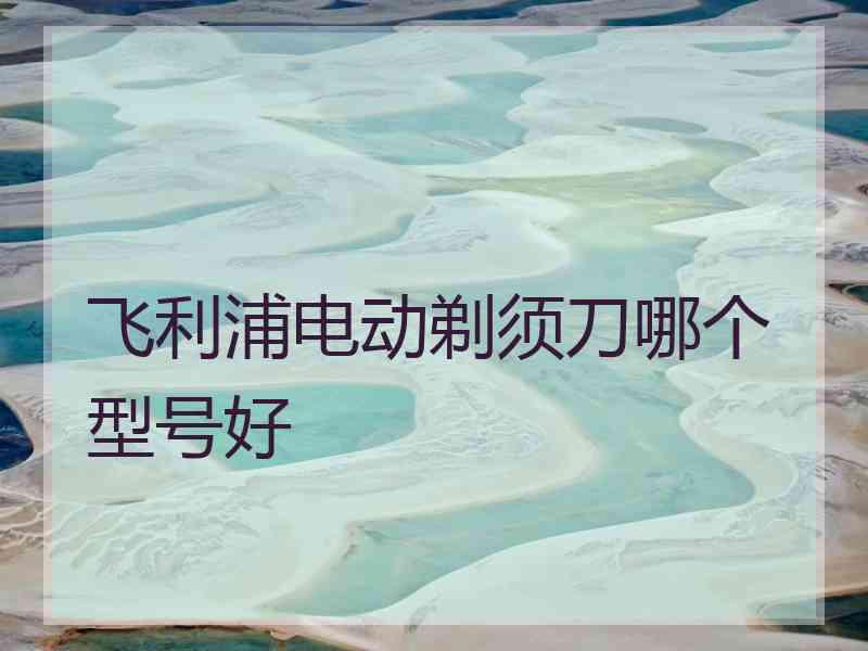 飞利浦电动剃须刀哪个型号好