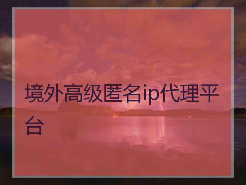 境外高级匿名ip代理平台