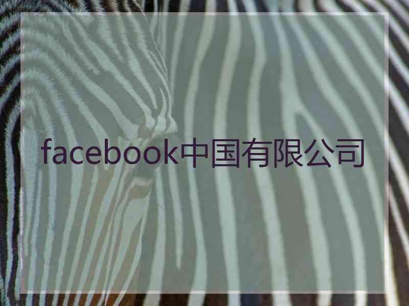 facebook中国有限公司