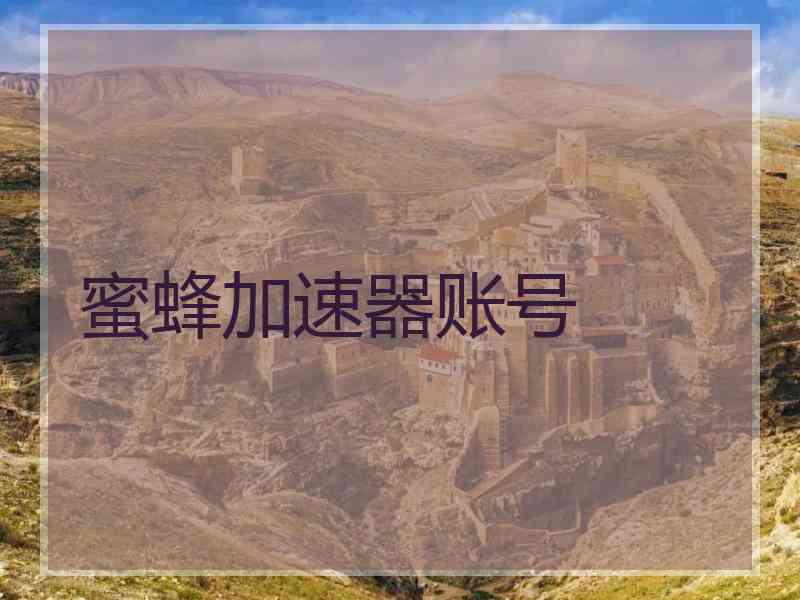 蜜蜂加速器账号