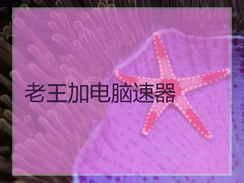 老王加电脑速器