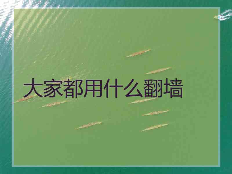 大家都用什么翻墙
