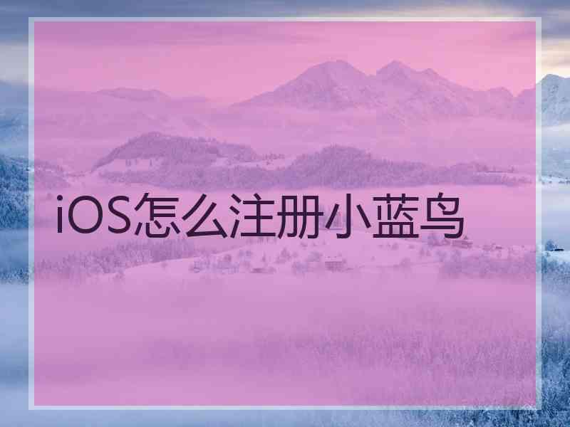 iOS怎么注册小蓝鸟