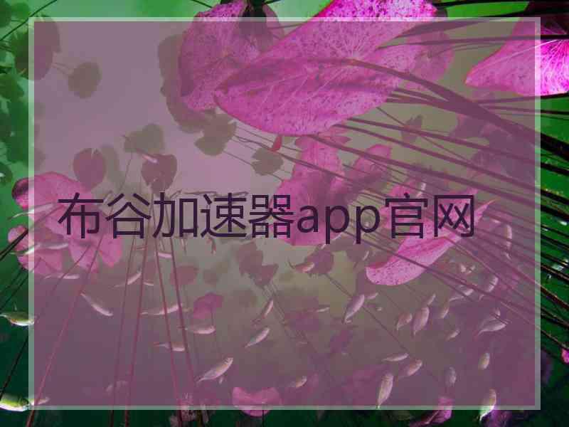 布谷加速器app官网
